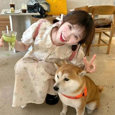 火爆群龙3